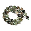 Natural Green Opal Beads Strands G-C116-A78-01-3