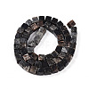 Natural Biotite Beads Strands G-T140-39A-2