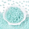 FGB Inside Colours Transparent Glass Seed Beads SEED-T009-01C-1