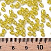Glass Seed Beads SEED-A006-3mm-110-3