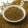 MIYUKI Round Rocailles Beads SEED-X0055-RR4456-2