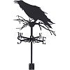 Crow Iron Wind Direction Indicator AJEW-WH0034-65-1