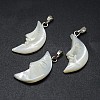 Shell Pendants SSHEL-E564-14P-1