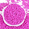 Baking Paint Glass Seed Beads X1-SEED-K010-A11-3