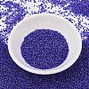 MIYUKI Delica Beads SEED-X0054-DB0047-2