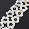 Freshwater Shell Beads Frames Strands SHEL-T009-14A-2