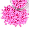Baking Paint Glass Seed Beads SEED-S002-K2-1