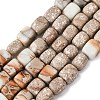 Natural Aqua Terra Jasper Beads Strands G-B155-D15-2