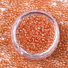 Glass Seed Beads SEED-S042-11A-03-2