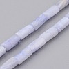 Natural Shell Bead Strands BSHE-P016-04-1