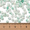 Baking Paint Glass Seed Beads SEED-F006-01A-08-4