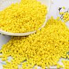 Baking Paint Glass Seed Beads SEED-S042-05B-81-1