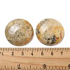Natural Crazy Agate Cabochons G-C115-02B-23-3