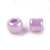 DIY Craft Beads 6/0 Ceylon Round Glass Seed Beads X-SEED-A011-4mm-155-3