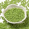 Baking Paint Glass Seed Beads SEED-K009-01B-15-2