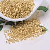 MIYUKI Delica Beads Small SEED-X0054-DBS0230-1
