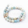 Natural Flower Amazonite Bead Strands G-G735-61F-10mm-2