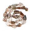 Natural Black Gold Rutilated Quartz Beads Strands G-D101-A16-3
