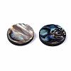 Natural Abalone Shell/Paua Shell Beads SSHEL-T014-14E-2