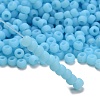 TOHO 3/0 Round Beads X-SEED-TR03-0143F-2