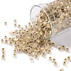 TOHO Round Seed Beads SEED-JPTR08-0989FM-1