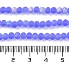 Transparent Glass Beads Strands X1-EGLA-A034-T4mm-MB14-5