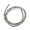 Natural Dalmatian Jasper Beads Strands G-F631-B07-2