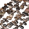 Natural Petrified Wood Beads Strands G-C253-07-2