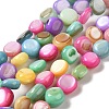 Natural Freshwater Shell Beads Strands SHEL-K006-32-1