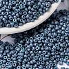 MIYUKI Round Rocailles Beads X-SEED-G008-RR2030-1