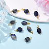 10Pcs Nuggets Natural Lapis Lazuli Pendants PALLOY-YW00114-03-1