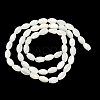 Natural Trochus Shell Beads Strands BSHE-E030-02A-3
