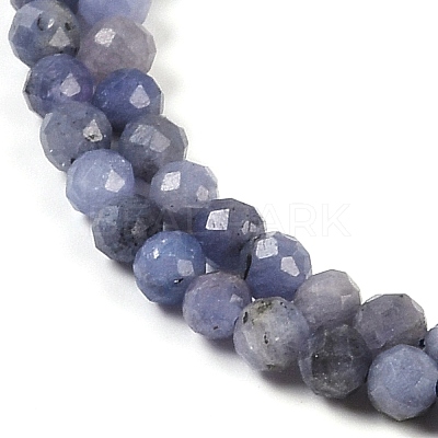 Natural Tanzanite Beads Strands G-F717-17B-01-1