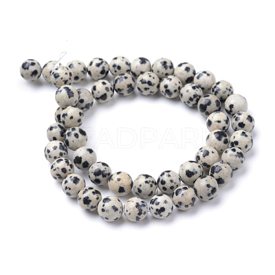Natural Dalmatian Jasper Bead Strands X-G-R345-6mm-51-1