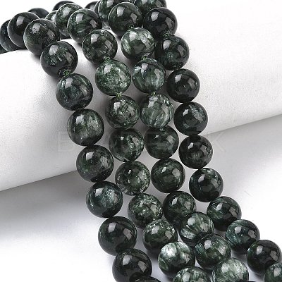 Natural Seraphinite Beads Strands G-C270-O01-11-1