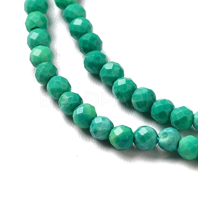 Natural Howlite Beads Strands G-C025-02A-02-1
