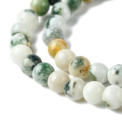 Natural Tree Agate Beads Strands G-K194-6mm-02-1