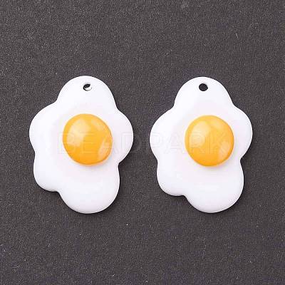 Resin Pendants RESI-F030-21-1