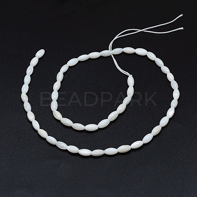 Dyed Natural Shell Beads Strands X-BSHE-E023-01C-1