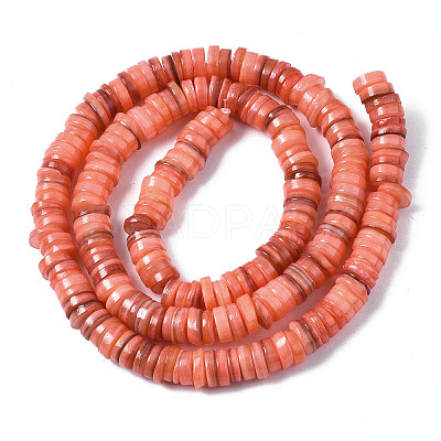 Natural Freshwater Shell Beads Strands X-SHEL-S278-025H-1
