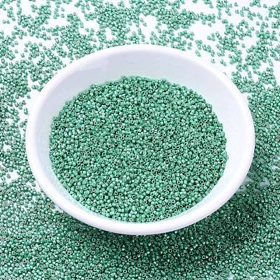 MIYUKI Delica Beads X-SEED-J020-DB1182-1