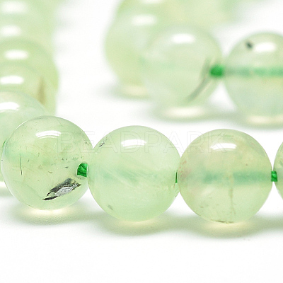 Natural Prehnite Beads Strands G-S263-6mm-04-1