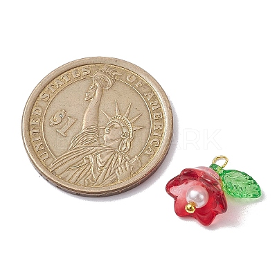 Mixed Color Glass Pearl & Acrylic Charms PALLOY-JF02567-02-1