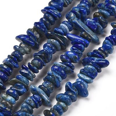 Natural Lapis Lazuli Chip Bead Strands X-G-M205-14-1