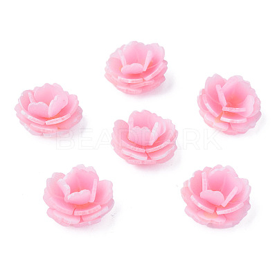 Plastic Beads LS-KY-N015-197C-1