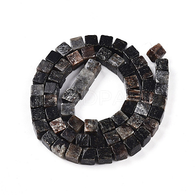 Natural Biotite Beads Strands G-T140-39A-1