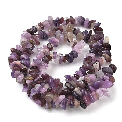 Natural Lepidolite/Purple Mica Stone Beads Strands G-Z081-A01-1