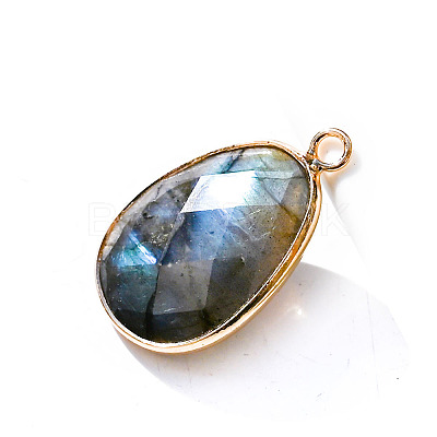 Natural Labradorite Pendants LS-PW-WG32281-07-1