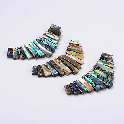 Rectangle Natural Abalone Shell/Paua ShellGraduated Beads Strands SSHEL-P002-05-1