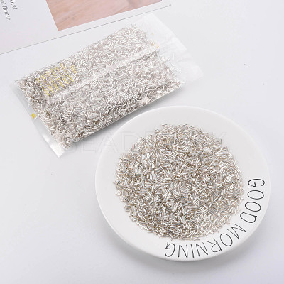 Plated Glass Bugle Beads SEED-S046-01B-21-1